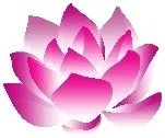 art of cosmetic Logo
